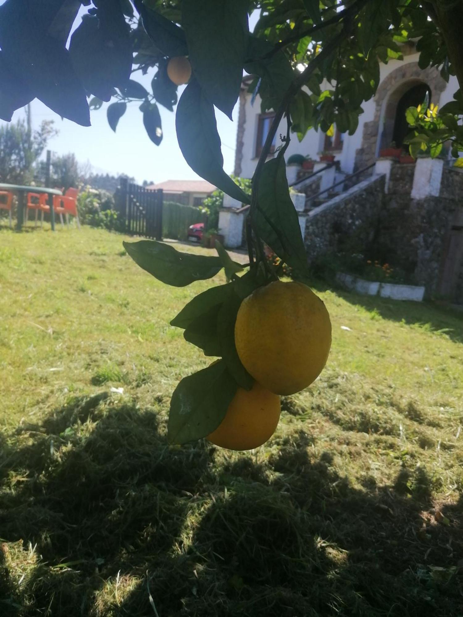 Apartamento En Casa Rural Con Amplio Jardin A 5 Min De La Playa Situacion Inmejorable La Riera  Buitenkant foto